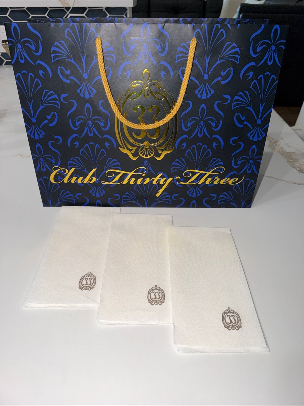 Club 33 Disney Exclusive Rare Haunted Mansion 50th Anniversary Design Gift Bag